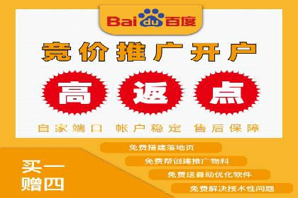 案例分析：竞价推广实战中的困境与突破